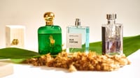 chypre men parfums cover