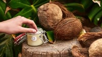 coconut oil cover