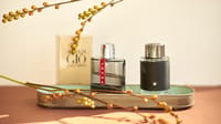 Les meilleurs parfums patchouli homme 